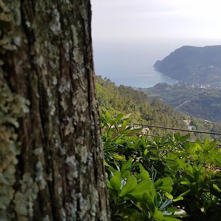 Santuario Ns Soviore Cinque Terre Monterosso al Mare Exterior foto