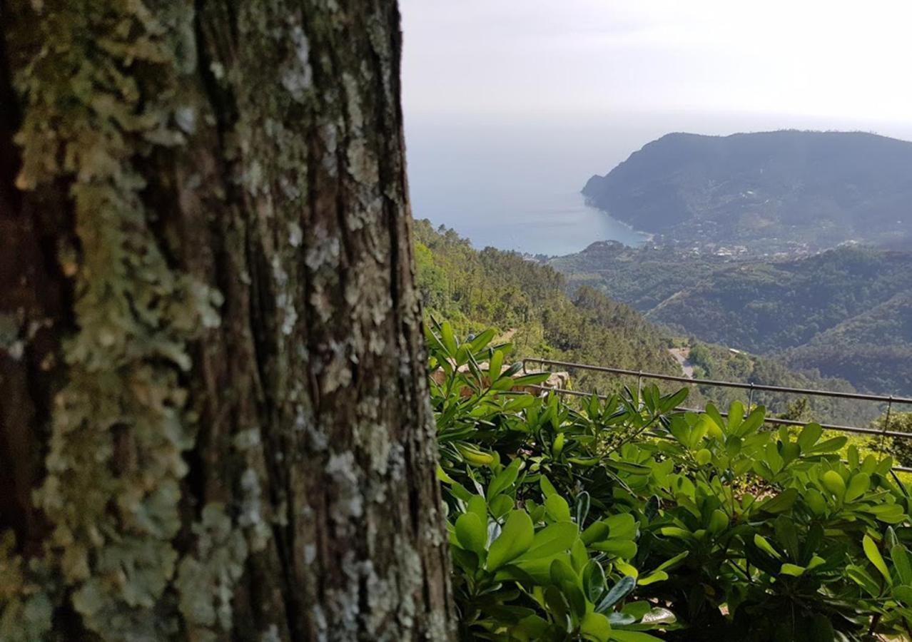 Santuario Ns Soviore Cinque Terre Monterosso al Mare Exterior foto